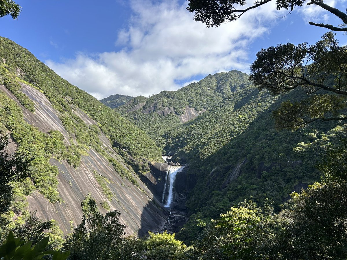 のっぽ tweet media