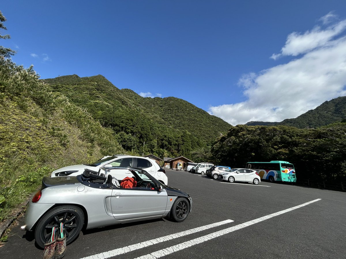 のっぽ tweet media