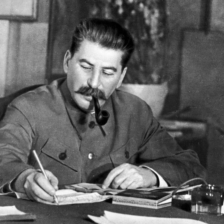 maia ; მაია tweet media