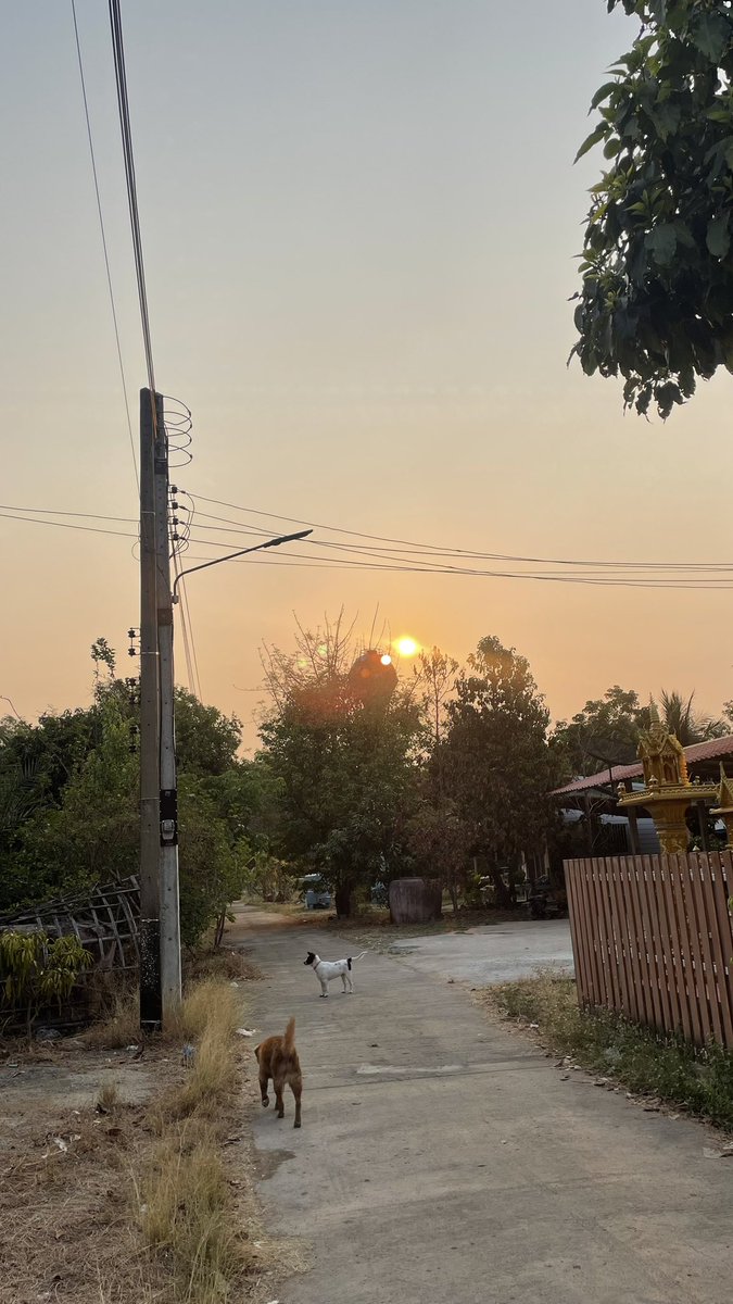 ปุ๊กปิ๊ก🫶🤍 tweet media