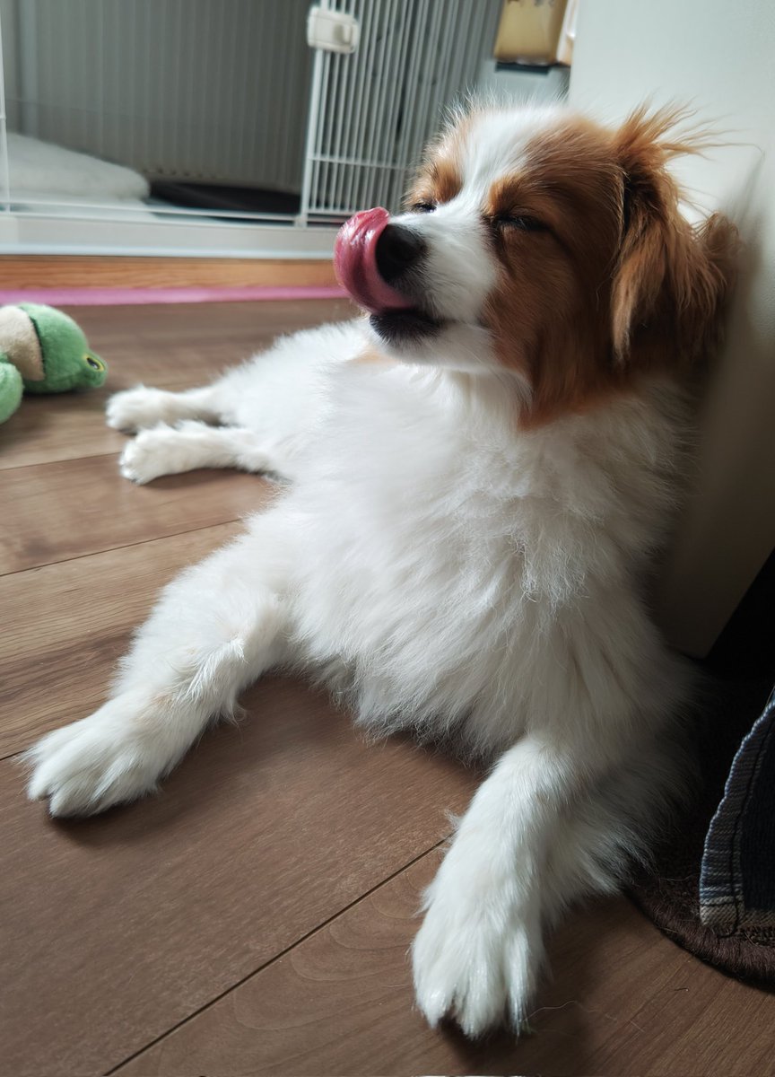 ぶっちゃん tweet media