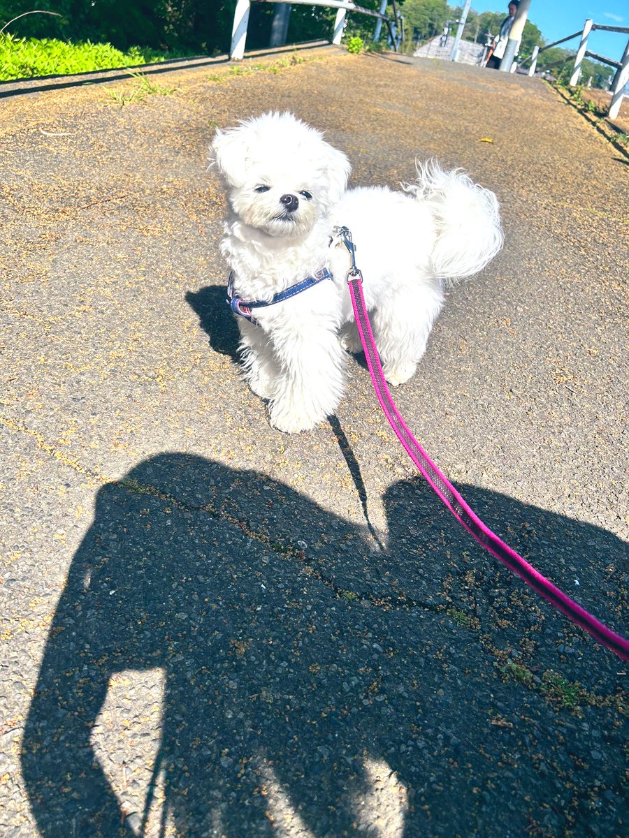 侑奈　里咲 tweet media