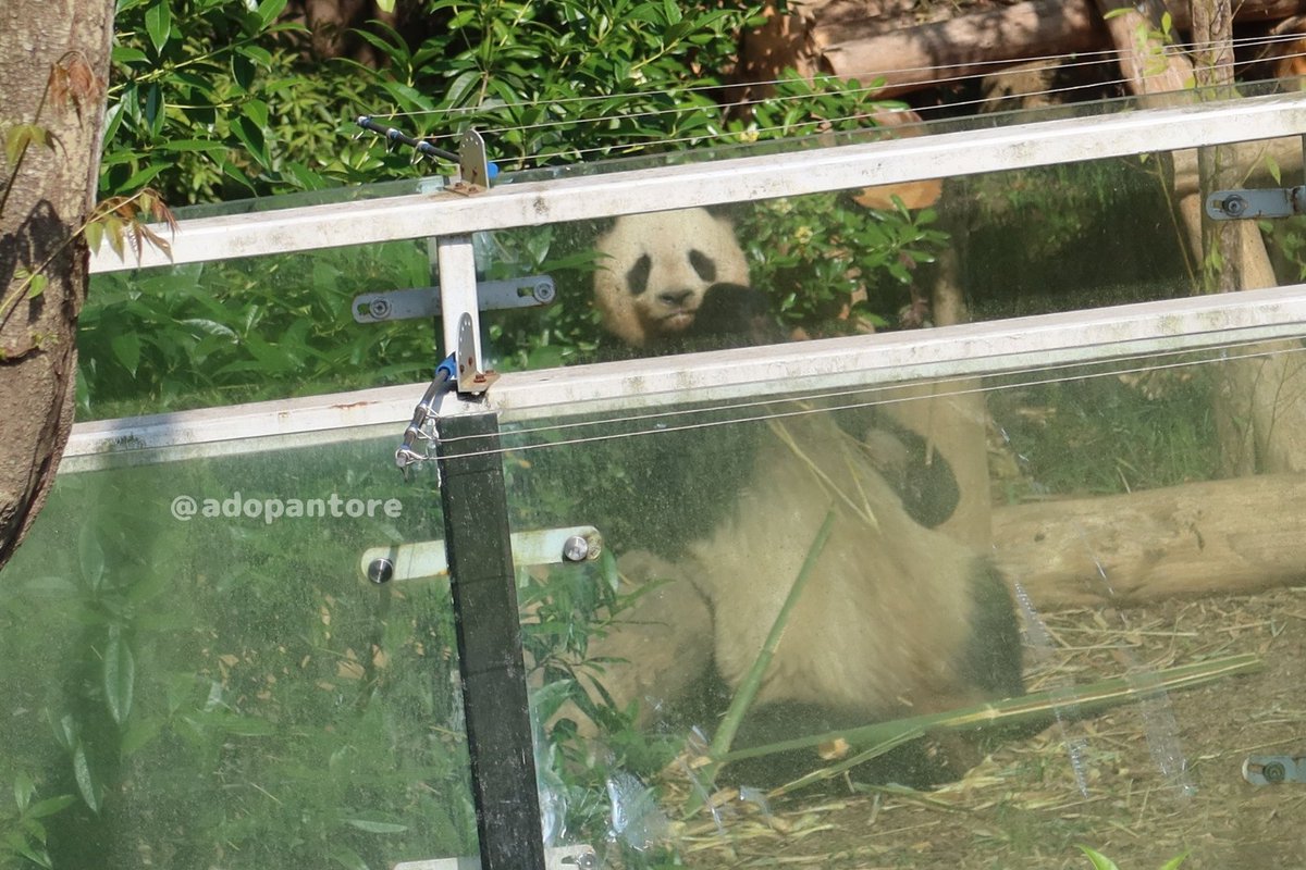 アドパントレジャー tweet media