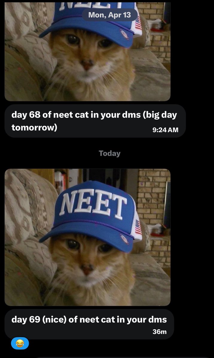 artsch00lreject's tweet photo. this guy has been posting NEET cat in my DM’s for 69 days https://t.co/iAIgWWVS7l
