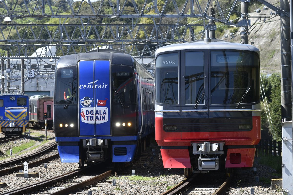 NNbH9VkRJxkmf0m's tweet photo. 2003F ブルーミュースカイ( ドラゴンズ DOARA TRAIN)
#ドアラトレイン #ブルーミュースカイ
#ドラゴンズ #2003F #ドアラ https://t.co/4wNU71SntN