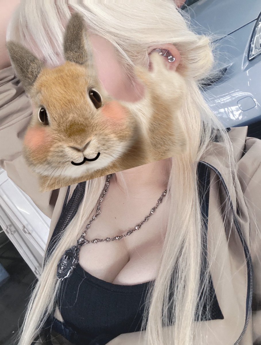 みー@大型犬ブリーダーエキゾハウスずーとぴあ中の人 tweet media