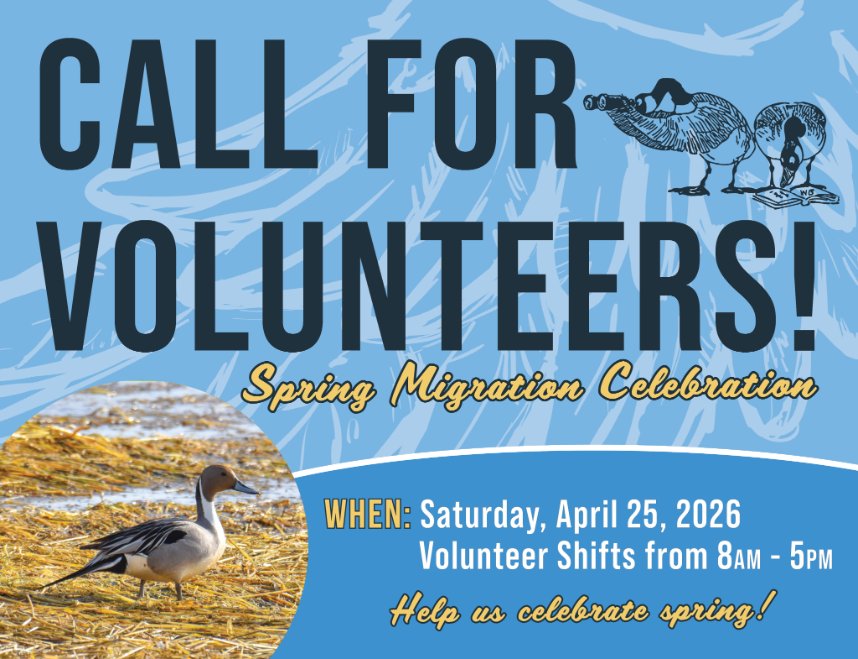 Friendsocf's tweet photo. We’re looking for volunteers for Spring Migration Celebration on Saturday, April 25!
We’d love to have you join us for a fun, bird-filled day at the Refuge.
Interested? Fill out this form: https://t.co/5Agr3BgBDk https://t.co/FZNG8ehDvE