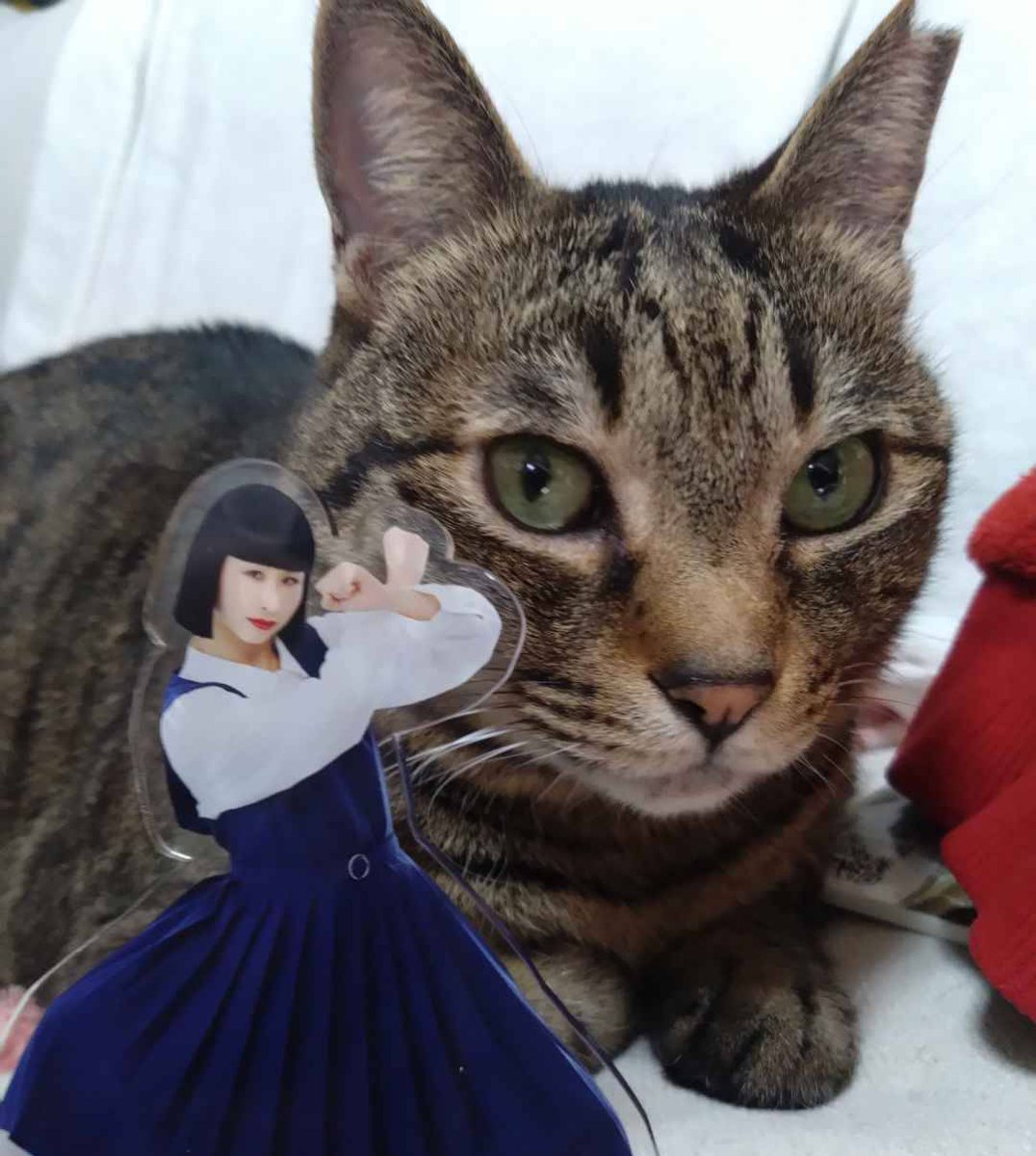 ドロドロどろんこ🐶 tweet media