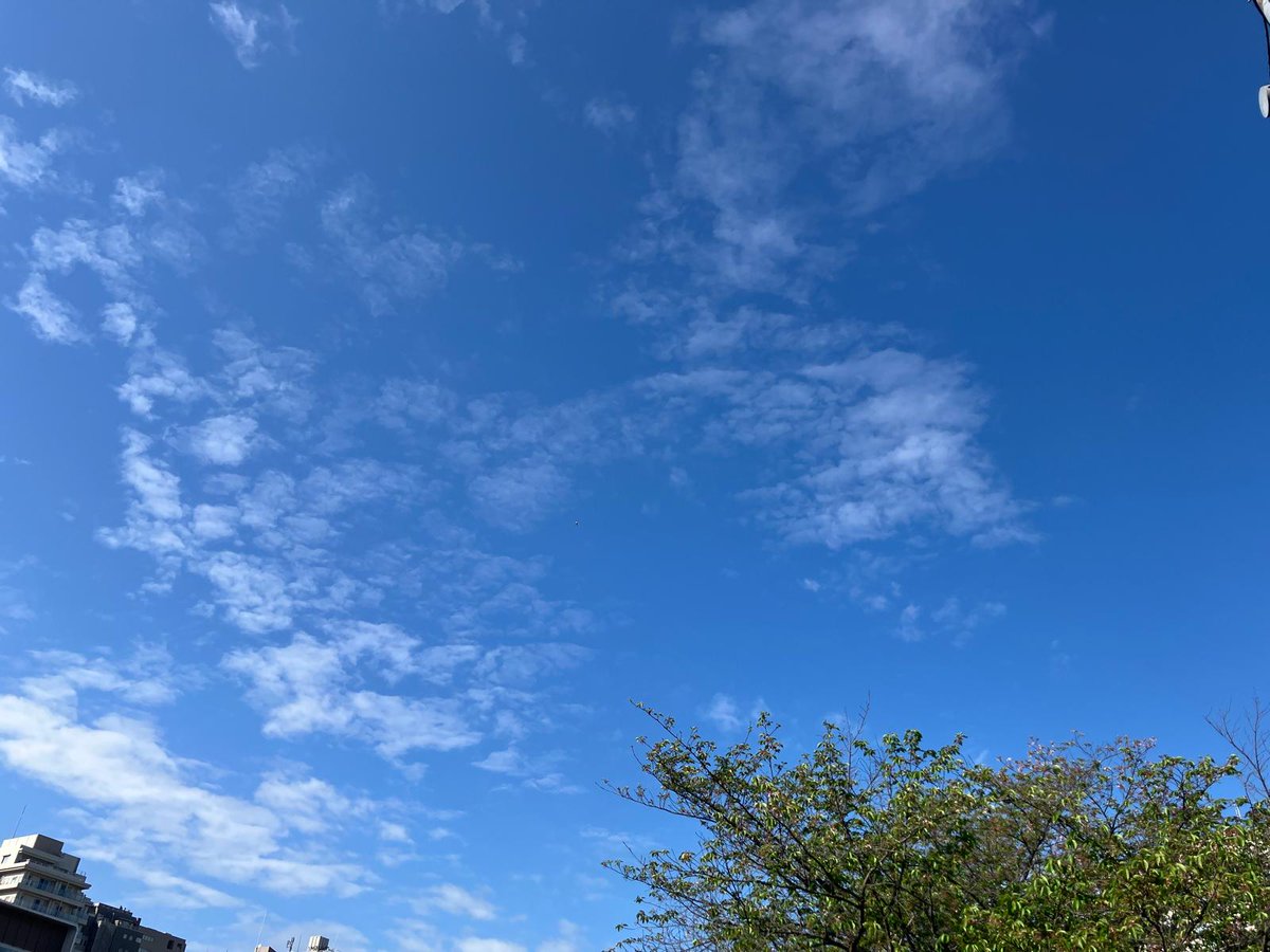 おはようございますーす！☺
昨日の雨から一転、とてもいい天気！！🌞🌞🌞

でもまだ朝晩は冷え込みますね🥶
風邪をひかないように羽織れるものを1枚持っていたほうがいいですね💛

いいですね( ；∀；)←1敗

今日もよろしくお願いしまーす！！！
 #企業公式が毎朝地元の天気を言い合う