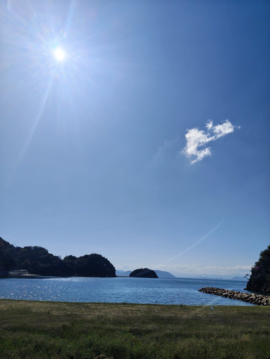 dodondonguri's tweet photo. 青い空白い雲 https://t.co/ZlPPDCGzxL