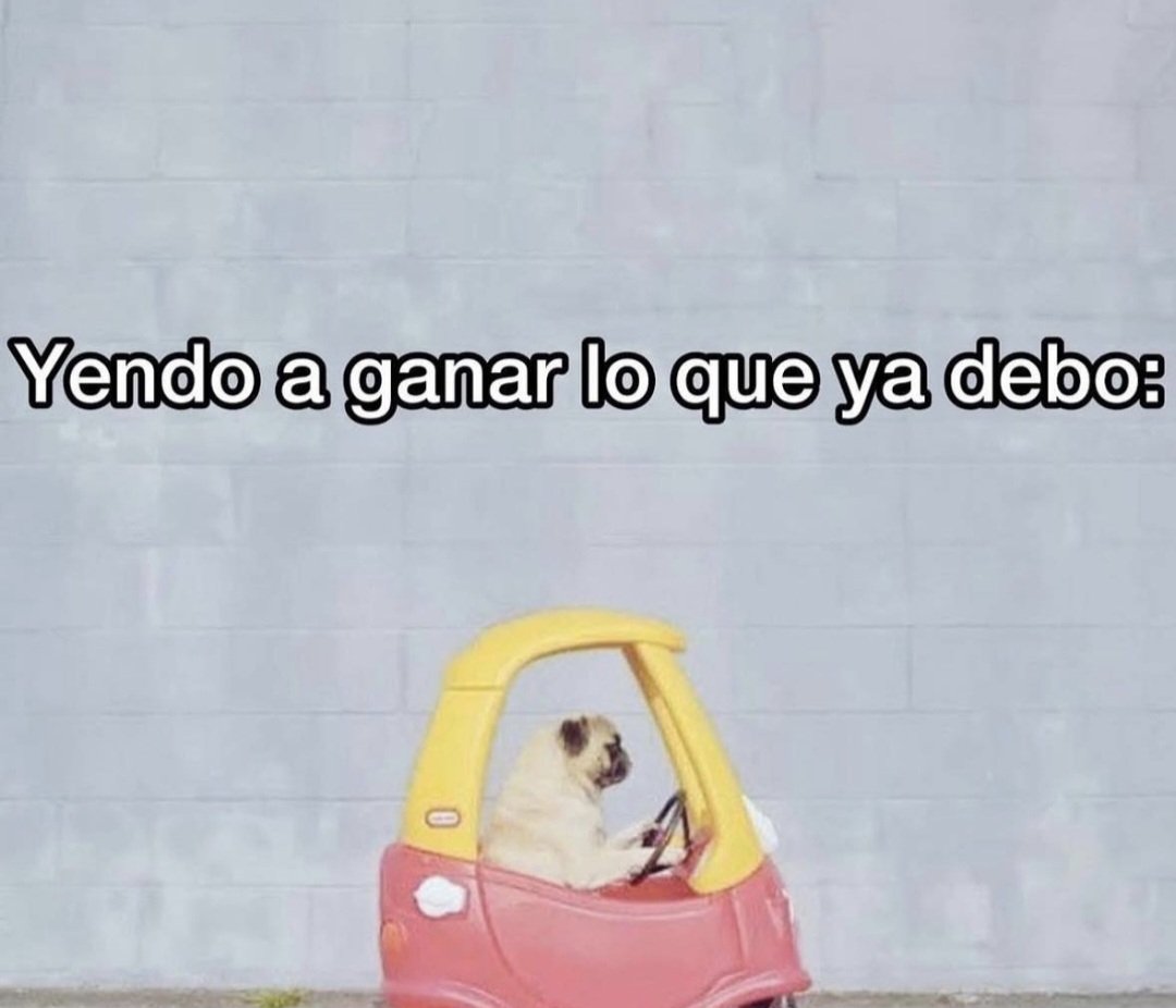 Salvador Iglesias Jr tweet media