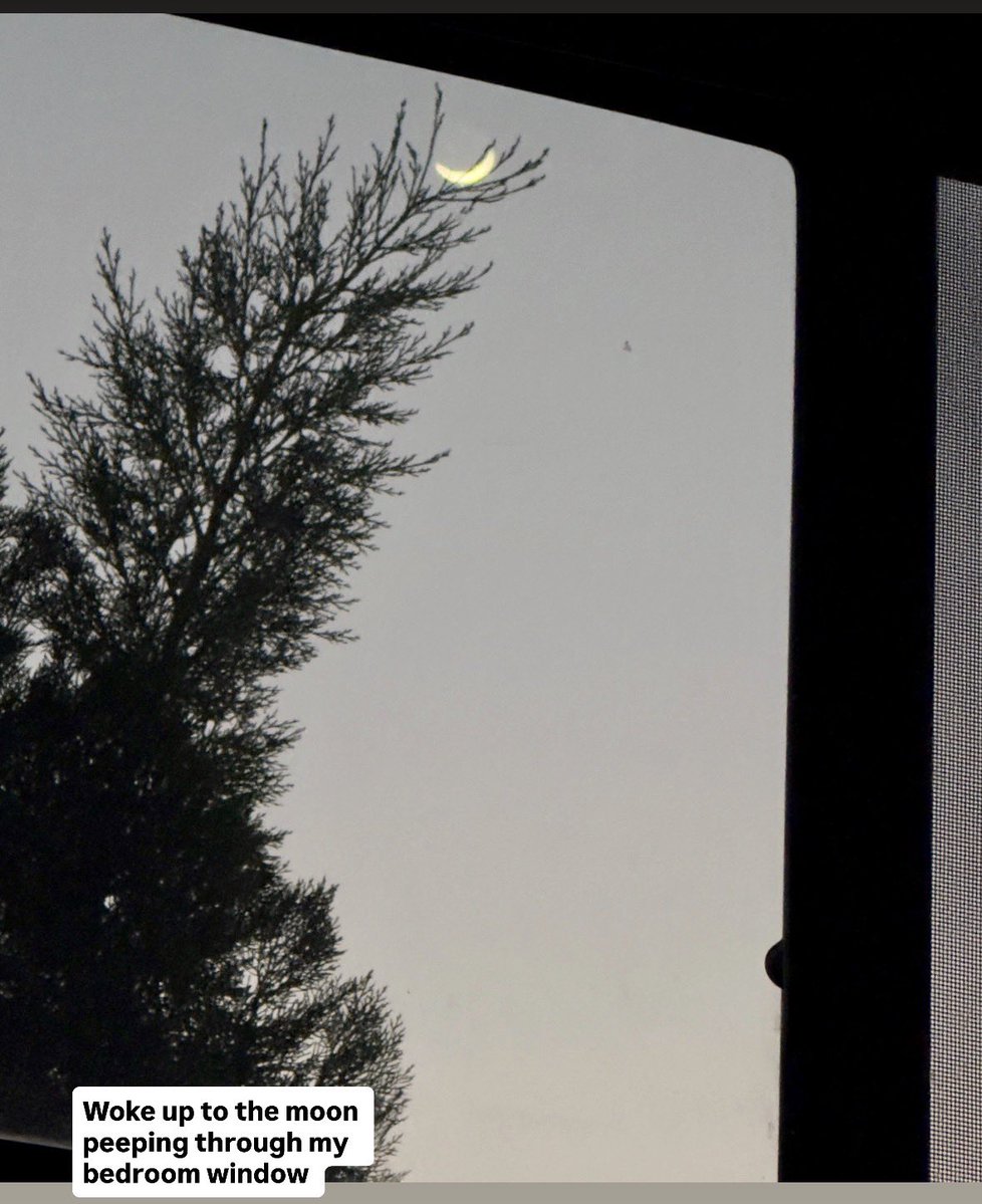 rajennair's tweet image. Woke up to the moon peeping through my bedroom window #moon #sydney