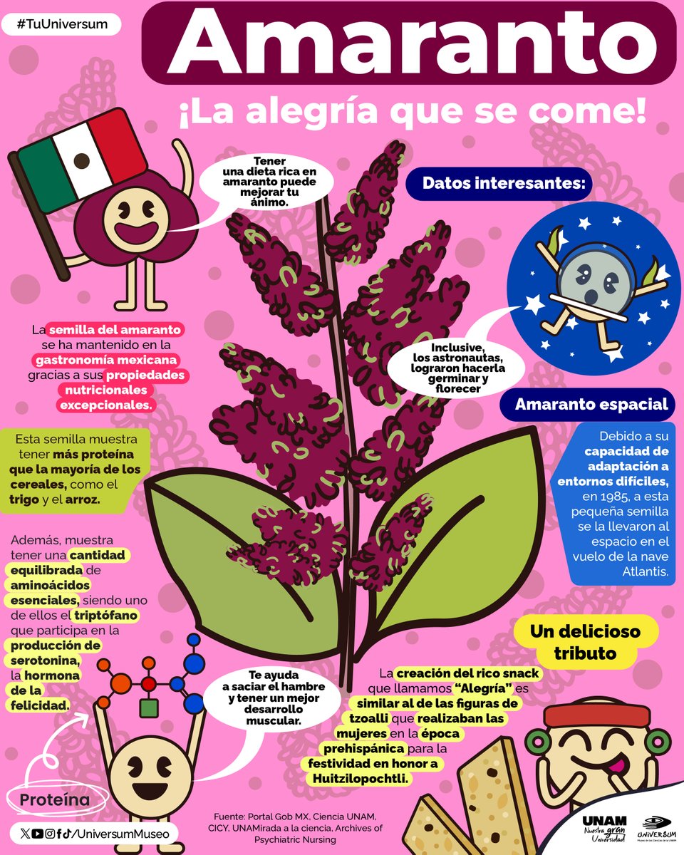 UniversumMuseo's tweet photo. ¡Llena de alegría tu día! 😎
Te contamos sobre el amaranto. 😊👇

#TuUniversum https://t.co/FD1NKDZa1Z