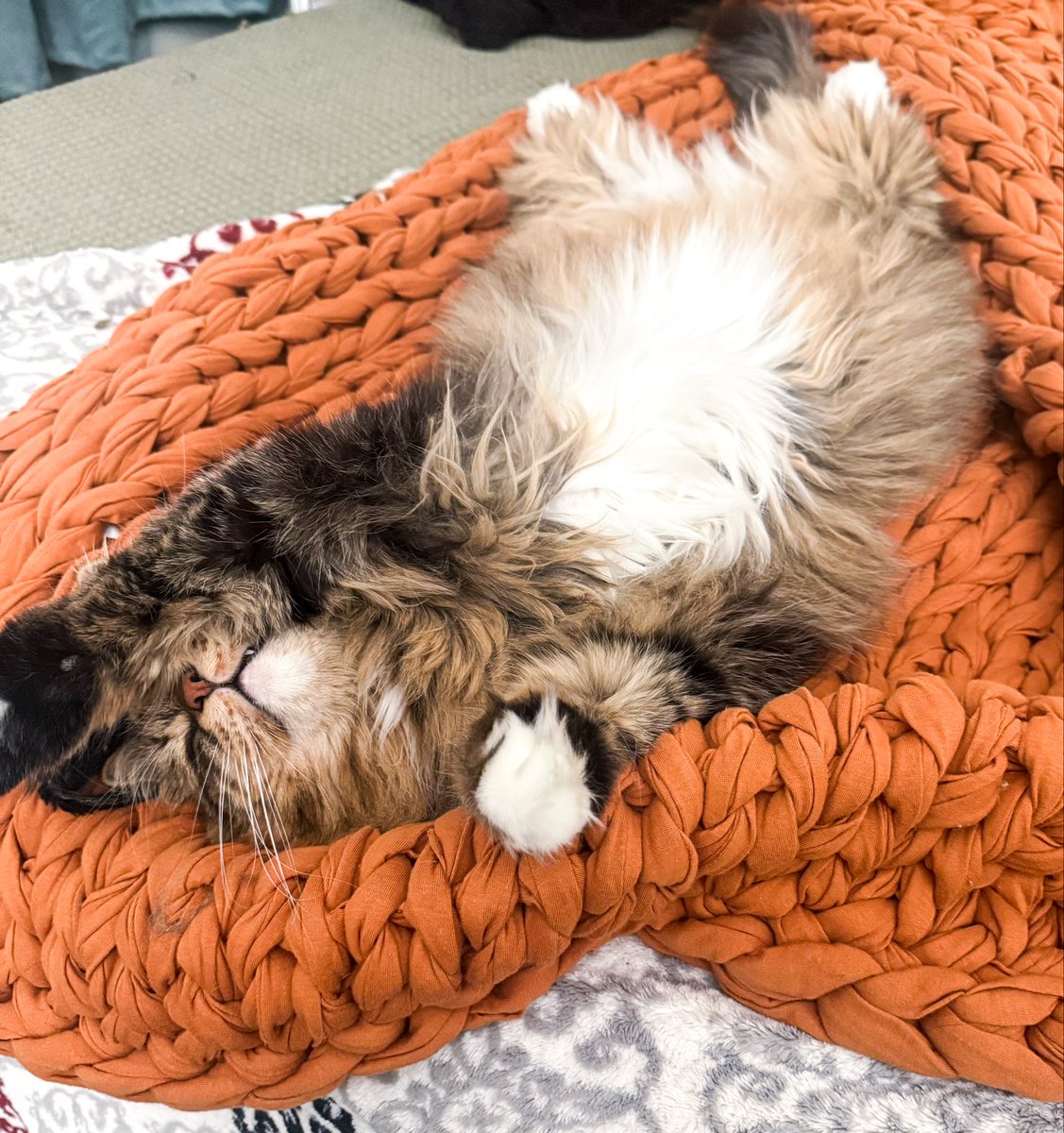 girl_dm_ 🔪 villainess (definitely evil) tweet media