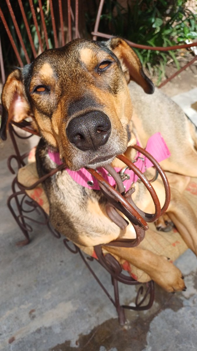 <a href="/gallardotamara0/">TAMARA.</a> Tranqui tia!