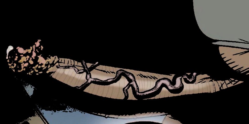 ᅠ ‍𝐎𝗟𝗗 𝐌𝗔𝗡 𝐅𝗜𝗡𝗖𝗛. 👴🏿 tweet media