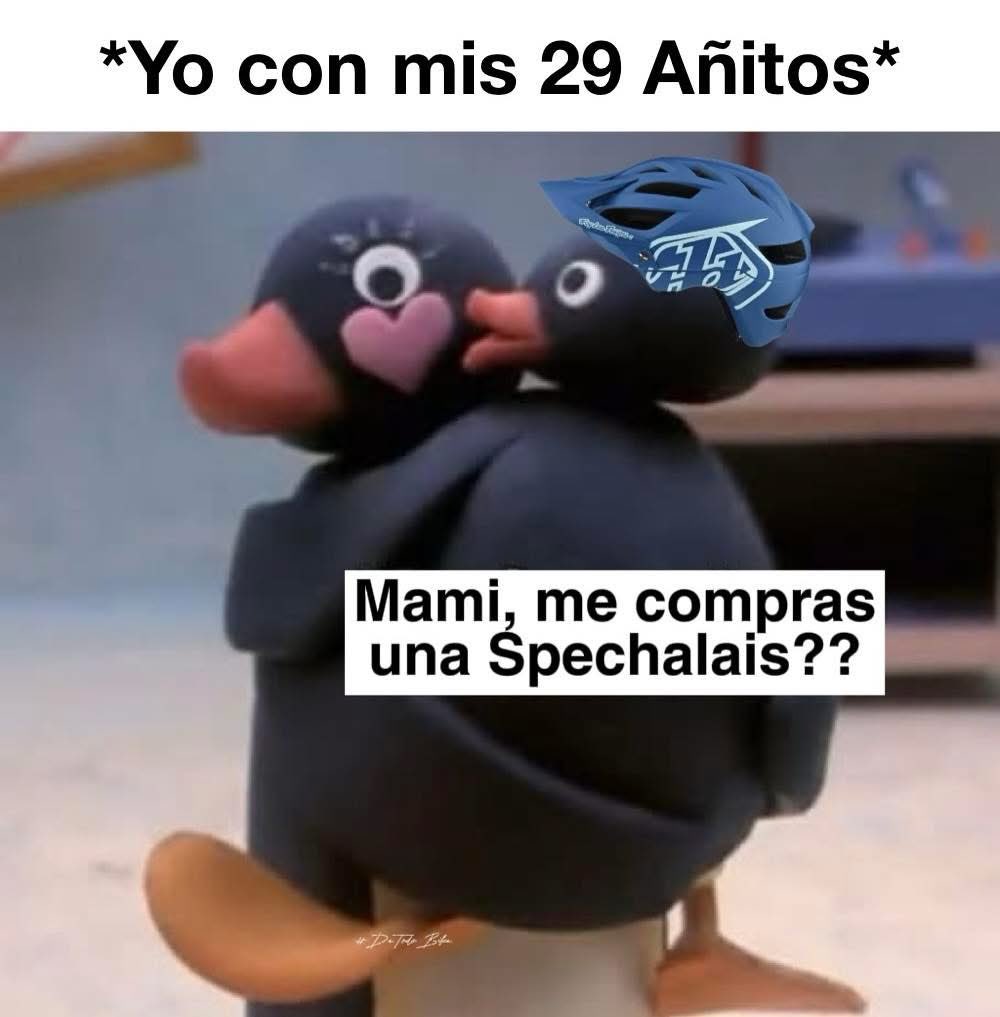 Ardillí. 🐿🚲 tweet media