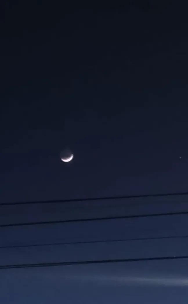 Lehuen💛 tweet media