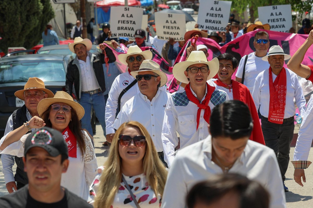 tmxhidalgo's tweet photo. La afición taurina de Hidalgo alzó la voz con una marcha pacífica de la Plaza de Toros Vicente Segura al Congreso del Estado, en defensa de la tauromaquia y de los derechos culturales de miles de familias.

#HidalgoEsTaurino #Tauromaquia #LibertadCultural #MéxicoEsTaurino https://t.co/lLXgTmfP1G