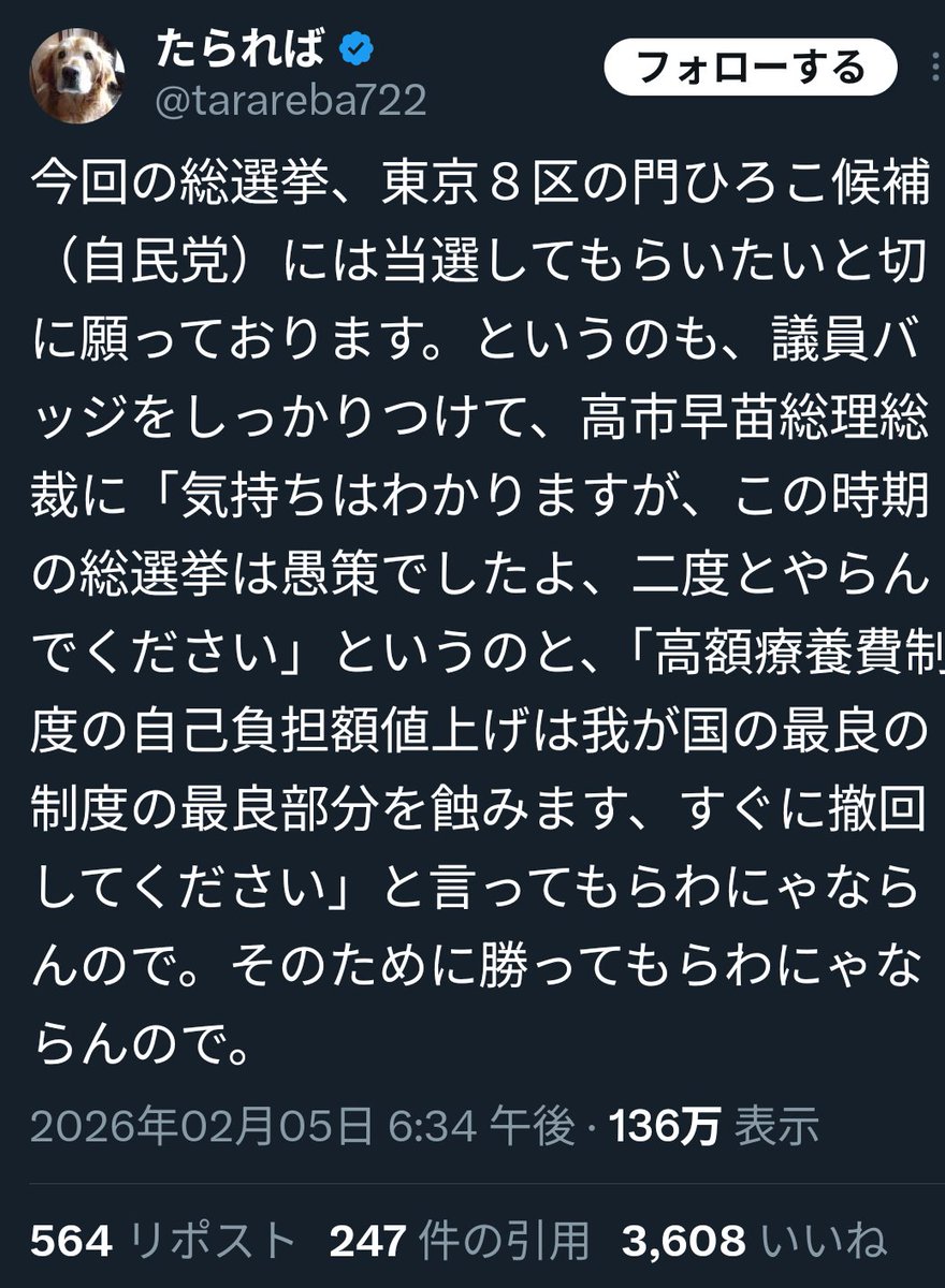 温泉ペンギン tweet media