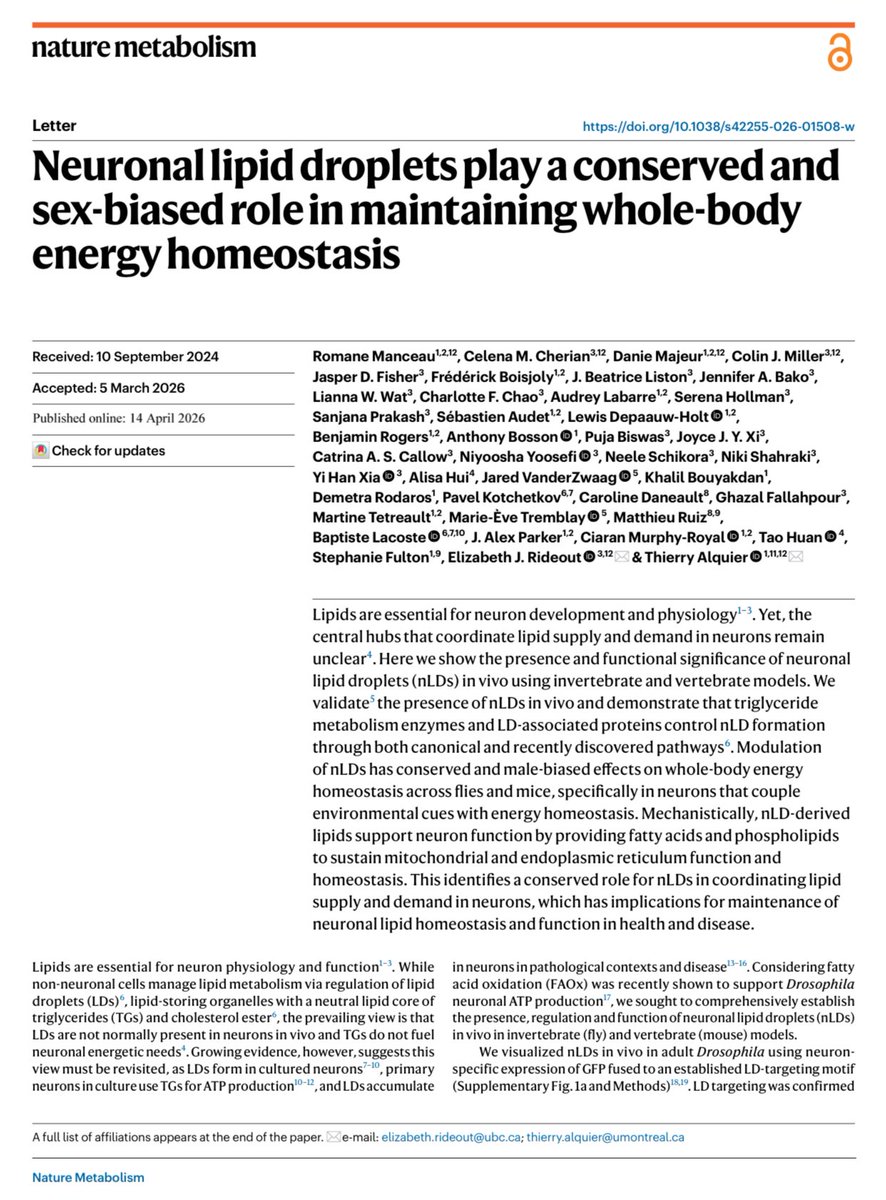 NutrioSci's tweet image. Neuronal lipid droplets play a conserved and sex-biased role in maintaining whole-body energy homeostasis. #NatureMetabolism #Nutrition #metabolic