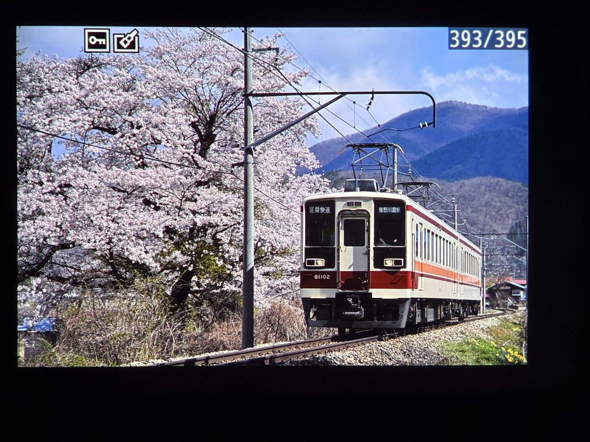 たんこぶ tweet media