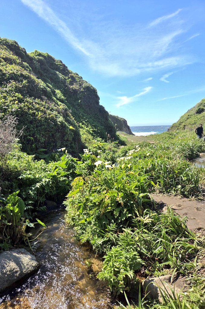 Pelaez2025's tweet image. I have seen so much beauty! 
#Grateful #exploring #optoutside #sharingaworld #scaredycat