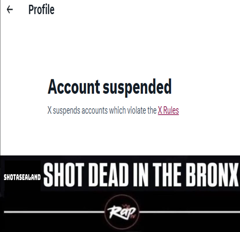 percy 🐾 tweet media