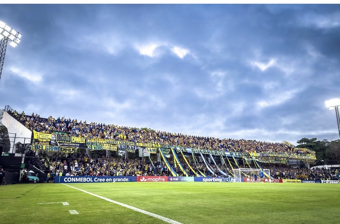 +22 JAJA PECHO ESTUPIDO tweet media