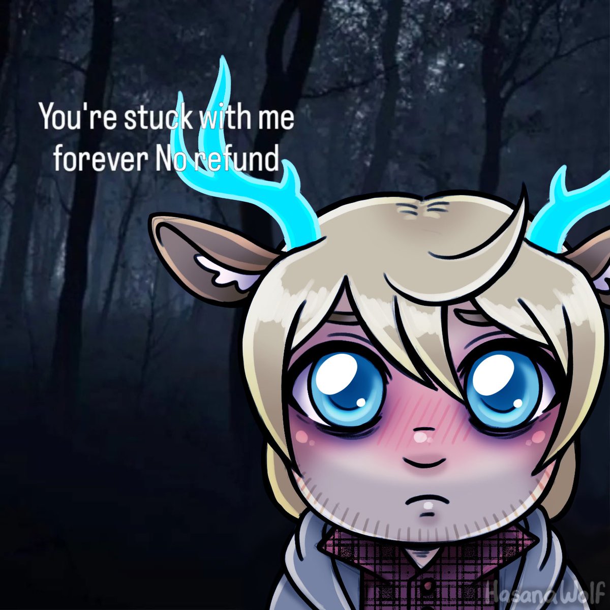 Hasana Wolf tweet media