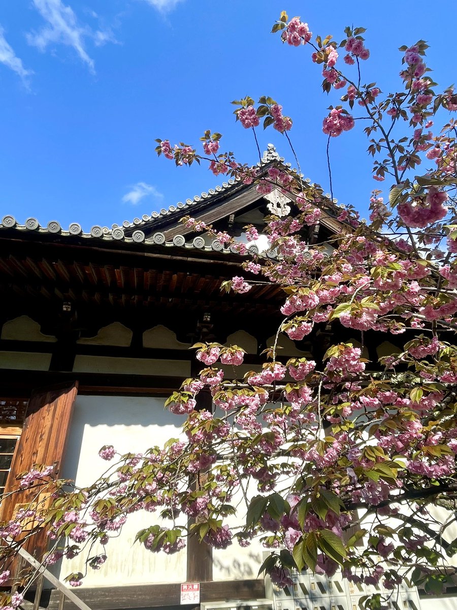 華厳宗大本山 東大寺【公式】 Tōdaiji Temple tweet media