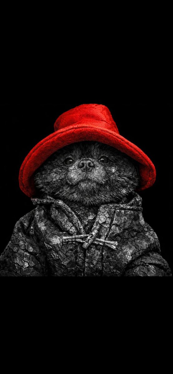 Terry Tibbs Crypto tweet media