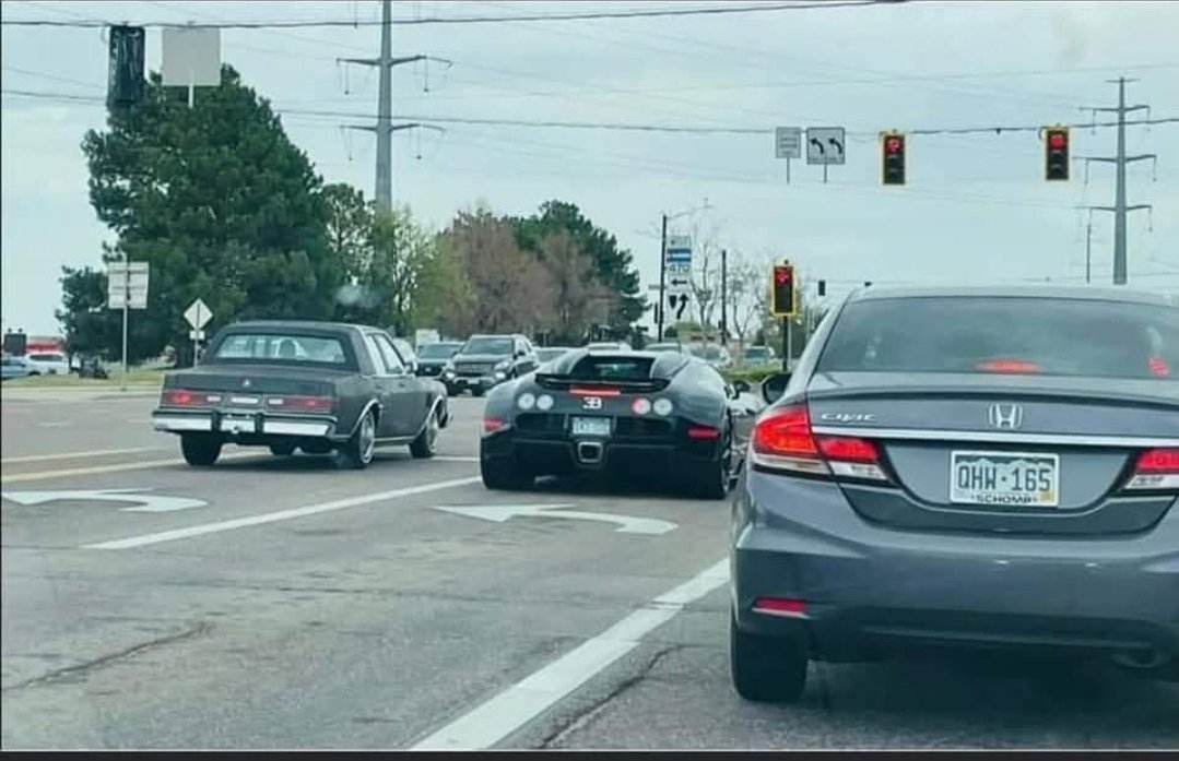 SketchyWolf--13 tweet media