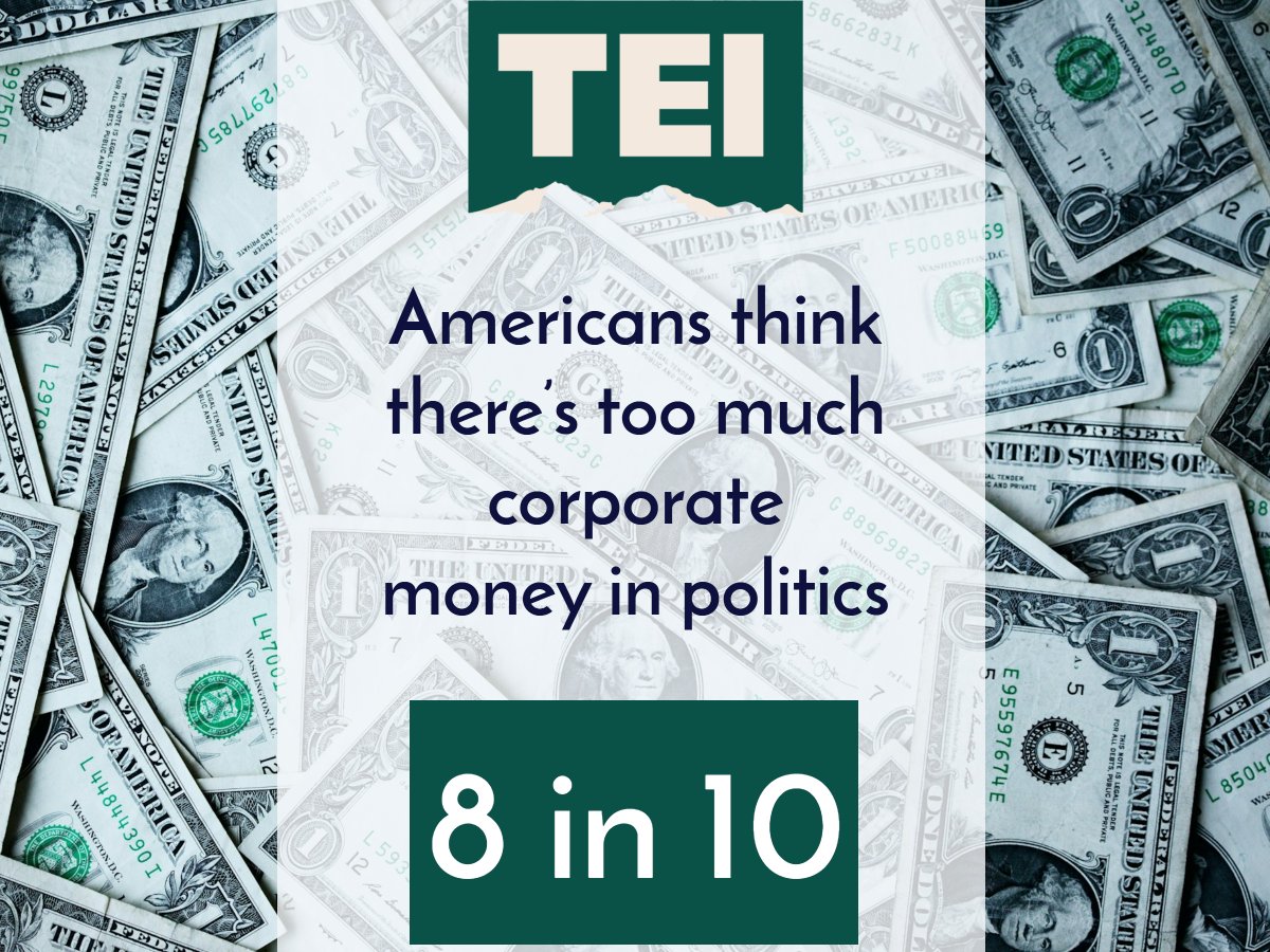 Transparent Election Initiative tweet media