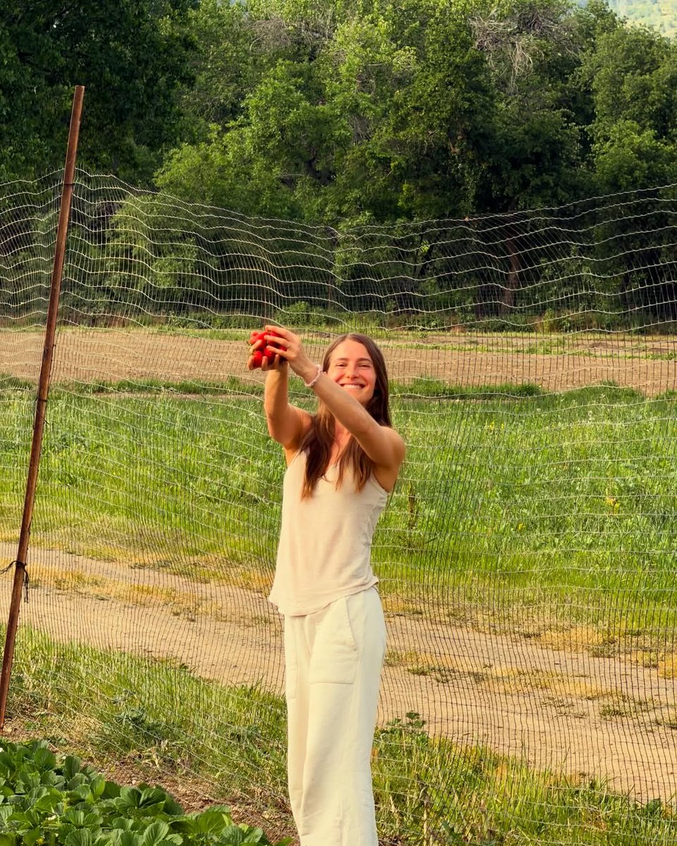 Caroline Jones tweet media