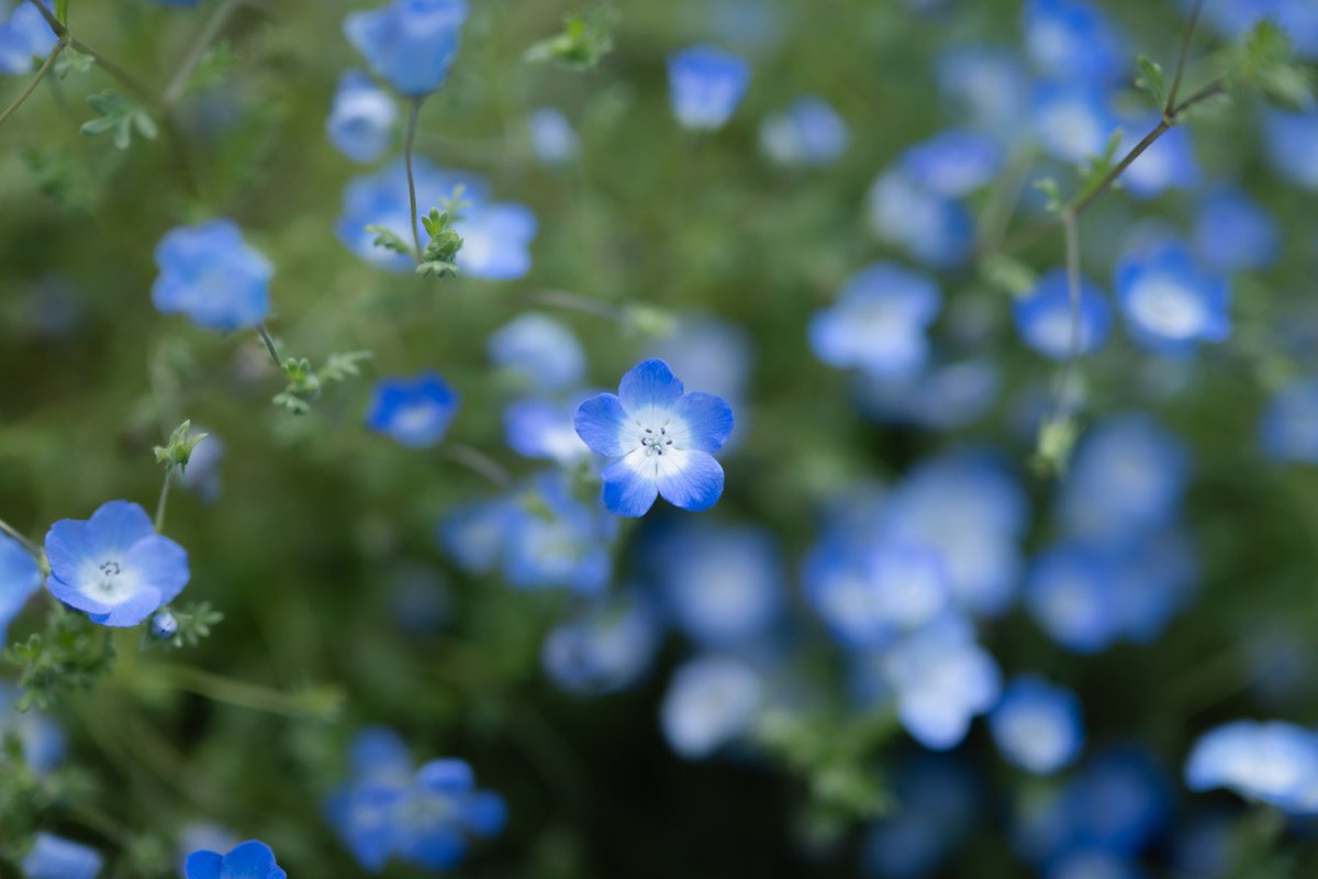 JunkArt/カメラマン&企画屋 tweet media