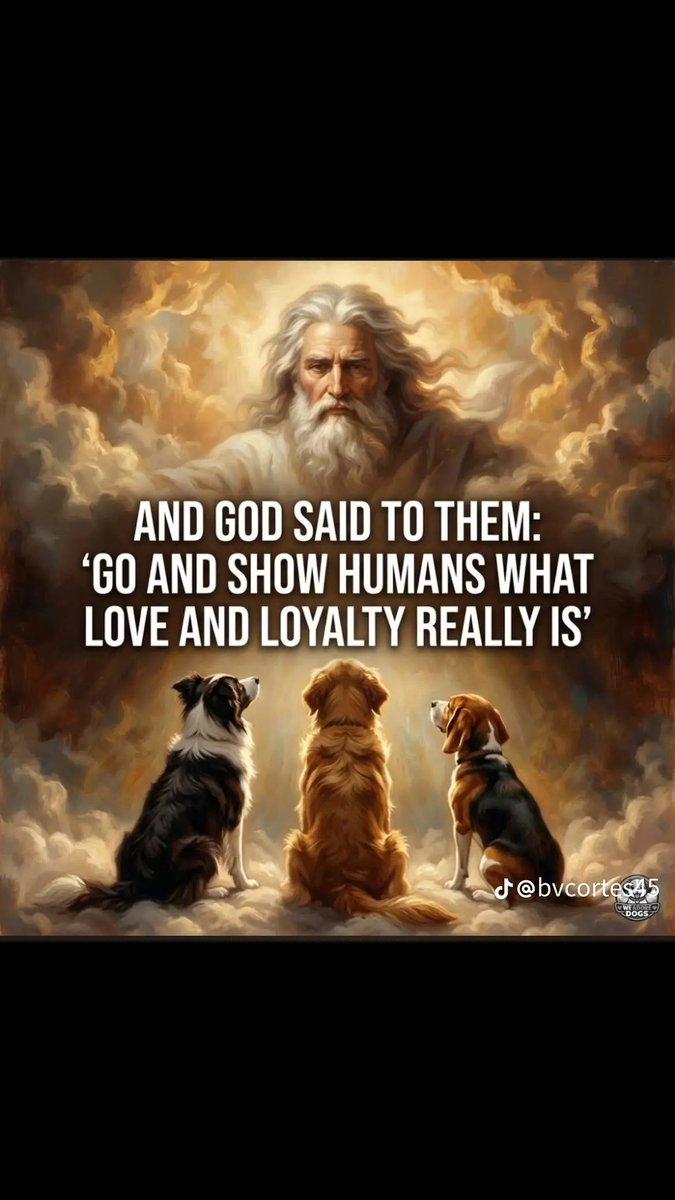 Rare 🇺🇸 tweet media