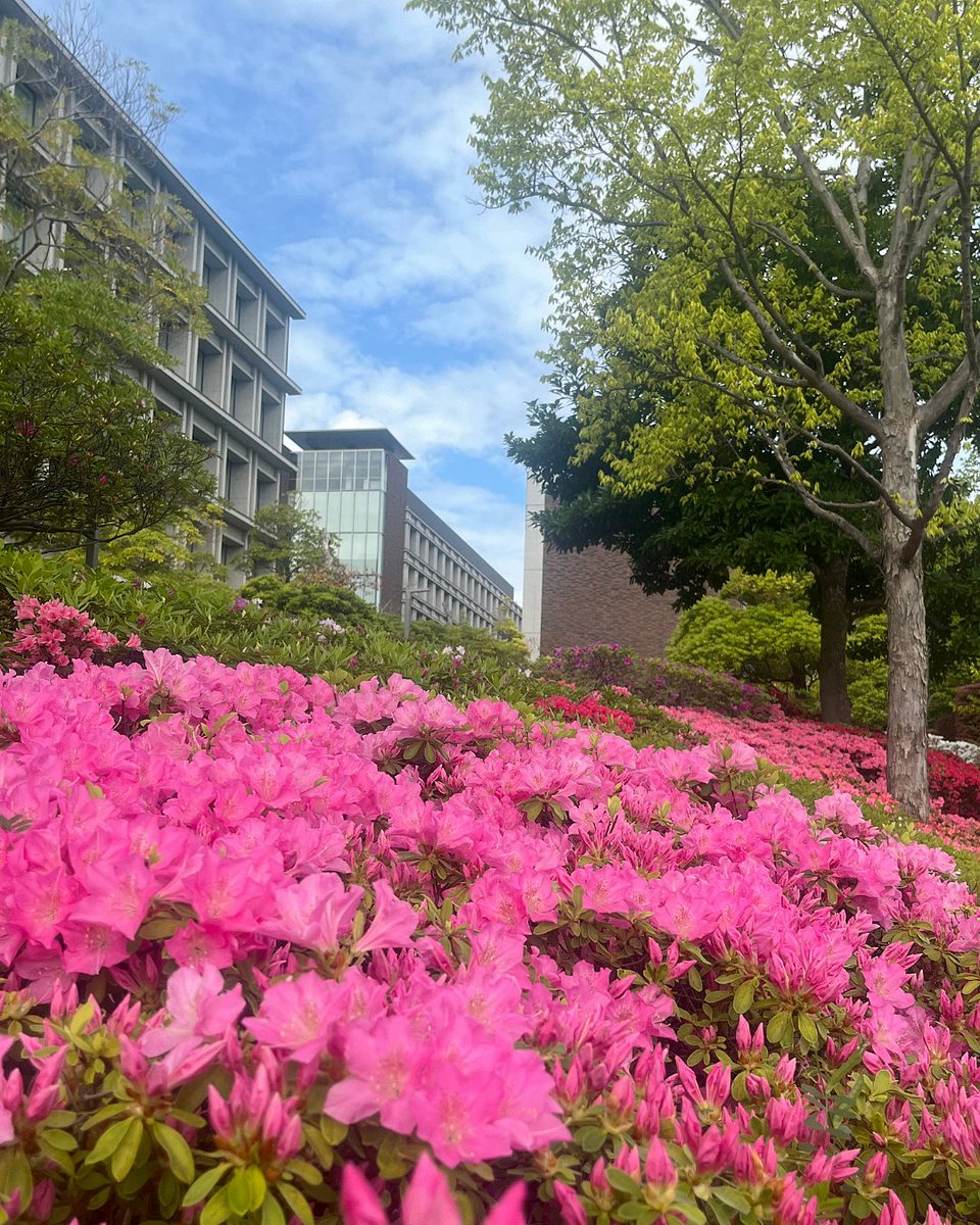 東京理科大学 tweet media