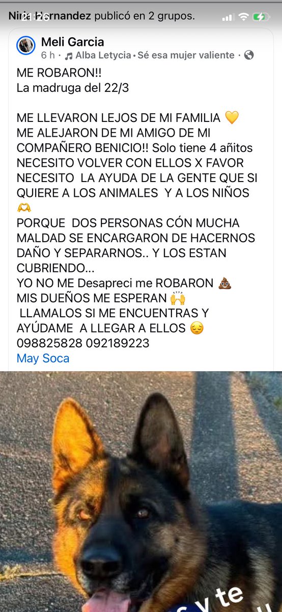 Adriana tweet media