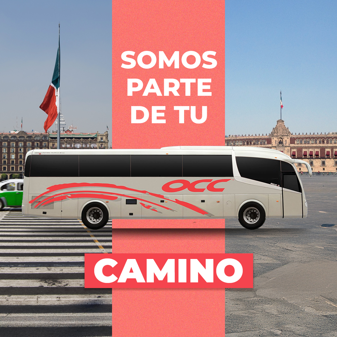 Autobuses OCC tweet media
