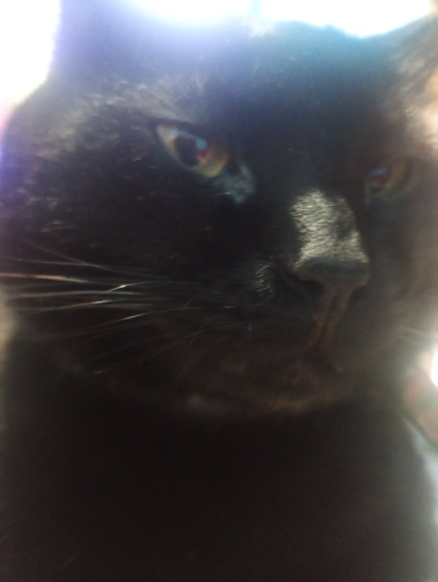 benjamin ⚣︎ tweet media