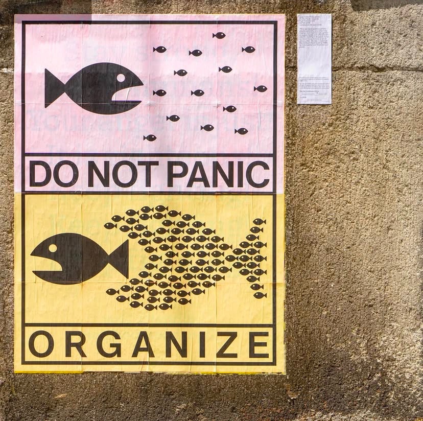 untitled folder tweet media