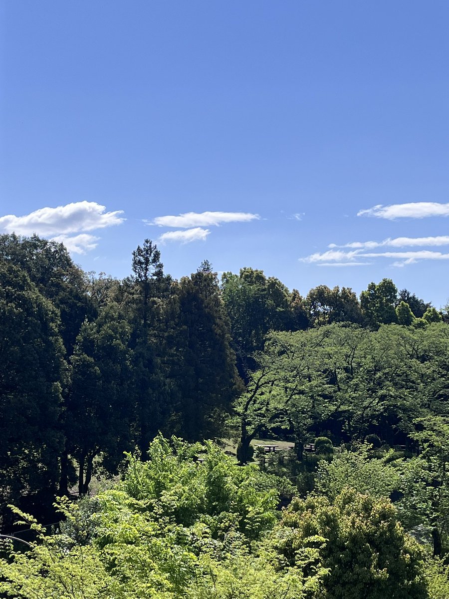 ⛑YOOOOOKO👷‍♀️ tweet media