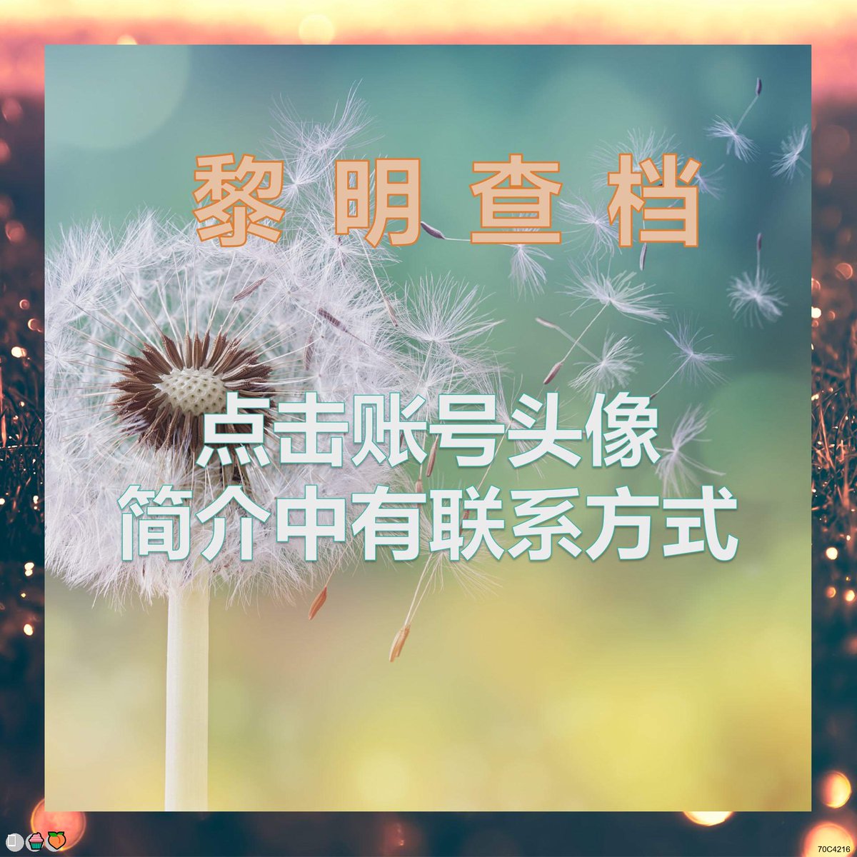 Robin Manus tweet media