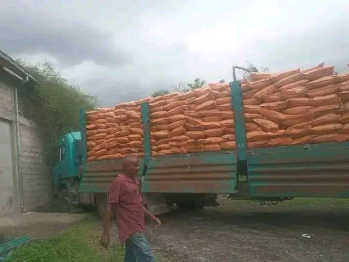 (Zara Media Network) — ብዛላምበሳ ጥይት ዝፃዓና መከይን ይአትዋ አለዋ ዝተባሃላ መኪና እዚአን እየን መዳበርያን ምሩፅ ዘርእን ፂዒነን ብባፅዕ ወደብ ጌረን ሽረ አትየን አለዋ። ዓቅሚ ዘለካ ነጋዳይ ባዓል ሃፍቲ ባፅዕ ወደብ ተጠቀመሉ መንግስቲ ኤርትራ