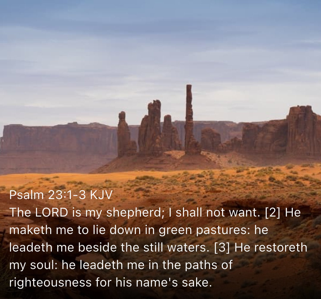 New Testament Christian Church Of Brooklyn, NY tweet media