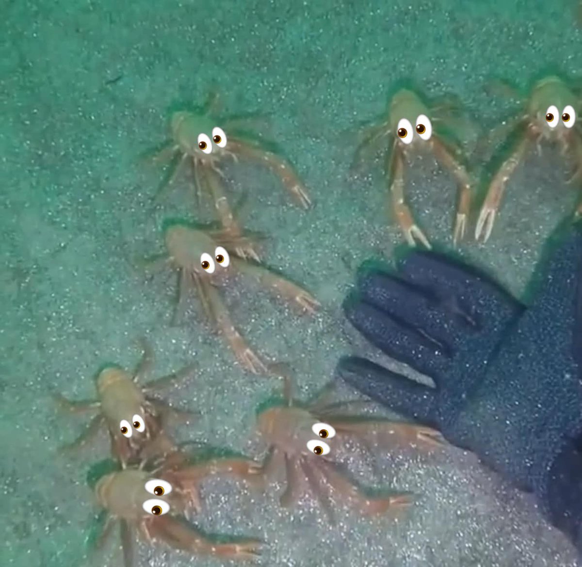 ⚓️, fιᥲ #deepseatwt tweet media