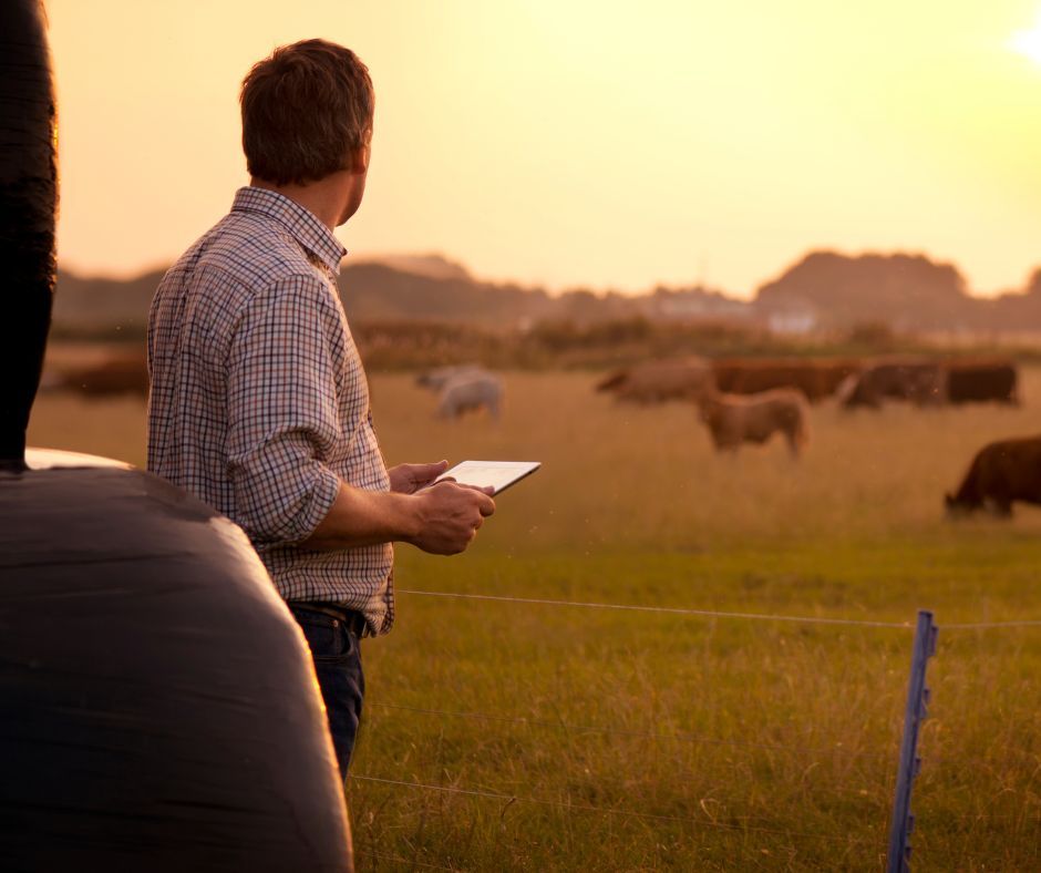 Rural West tweet media