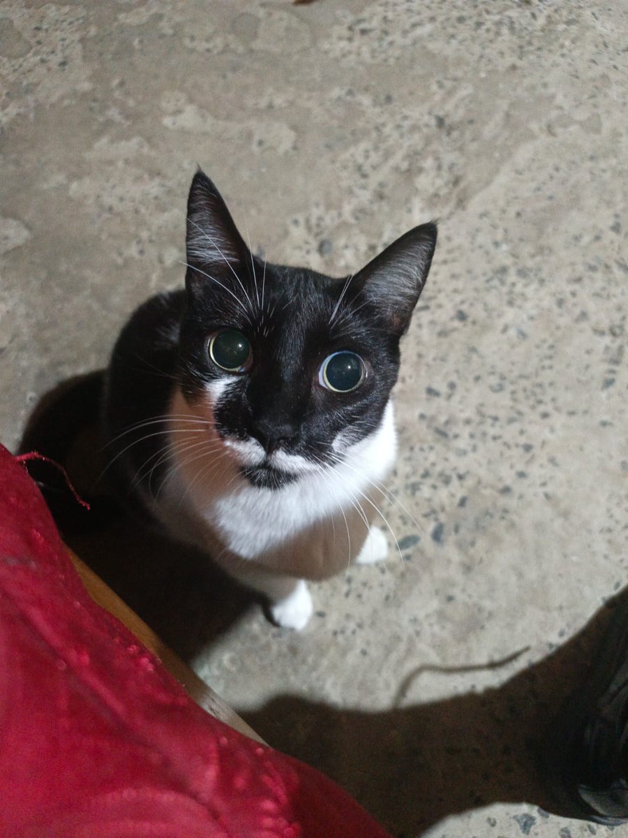 𝔸𝕟𝕕𝕣𝕖𝕨 彡🏥🌈 tweet media