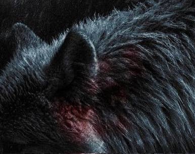 The Hollywood Handle tweet media